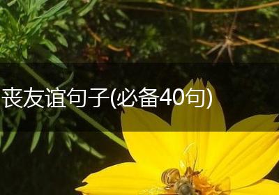 丧友谊句子(必备40句)