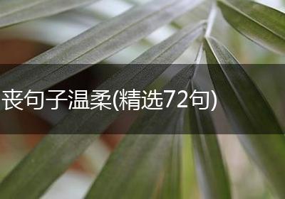 丧句子温柔(精选72句)