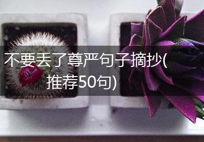 不要丢了尊严句子摘抄(推荐50句)