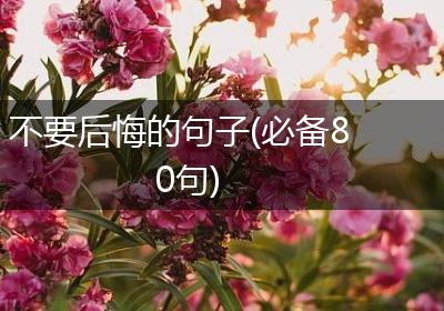 不要后悔的句子(必备80句)
