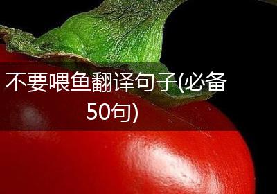 不要喂鱼翻译句子(必备50句)