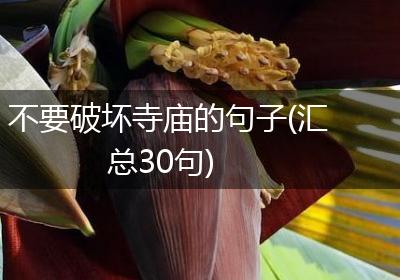 不要破坏寺庙的句子(汇总30句)