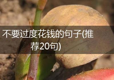 不要过度花钱的句子(推荐20句)