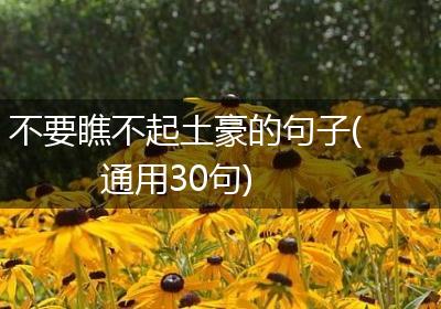 不要瞧不起土豪的句子(通用30句)