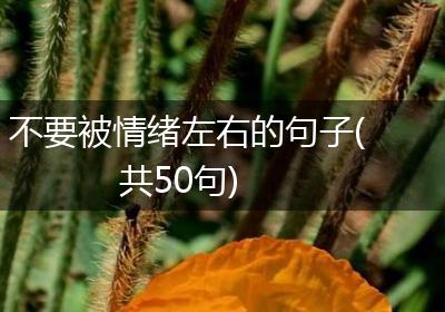 不要被情绪左右的句子(共50句)