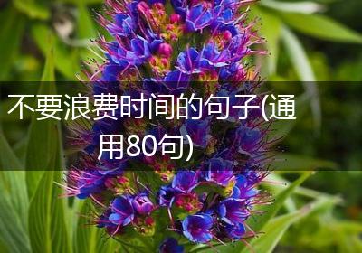 不要浪费时间的句子(通用80句)