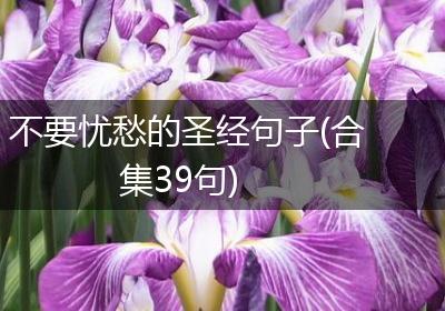 不要忧愁的圣经句子(合集39句)
