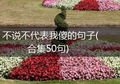 不说不代表我傻的句子(合集50句)