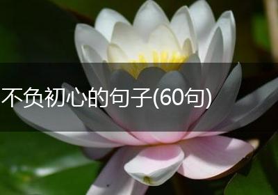 不负初心的句子(60句)