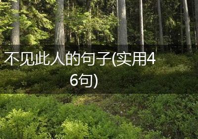 不见此人的句子(实用46句)