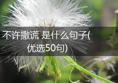 不许撒谎 是什么句子(优选50句)
