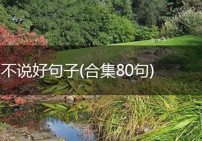 不说好句子(合集80句)