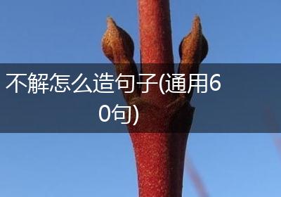 不解怎么造句子(通用60句)