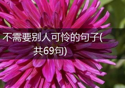 不需要别人可怜的句子(共69句)