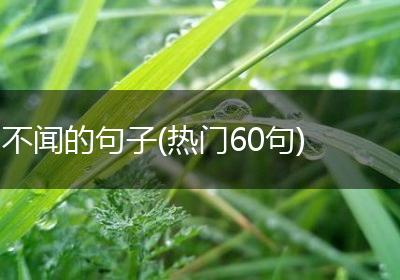 不闻的句子(热门60句)