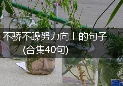 不骄不躁努力向上的句子(合集40句)