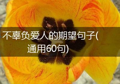 不辜负爱人的期望句子(通用60句)