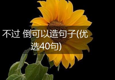 不过 倒可以造句子(优选40句)