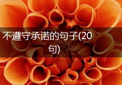 不遵守承诺的句子(20句)