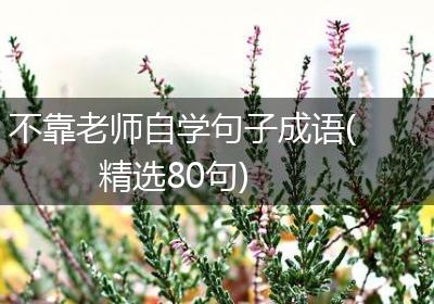 不靠老师自学句子成语(精选80句)
