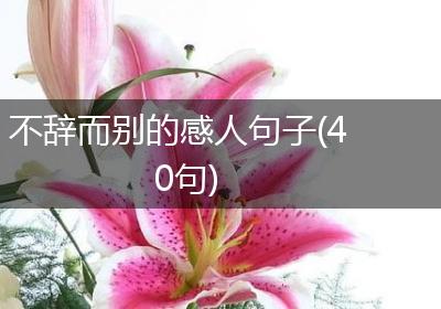 不辞而别的感人句子(40句)