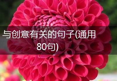 与创意有关的句子(通用80句)