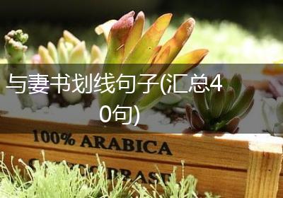 与妻书划线句子(汇总40句)