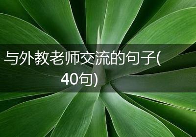 与外教老师交流的句子(40句)