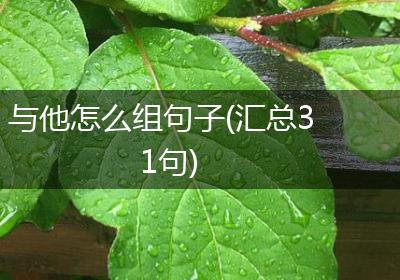 与他怎么组句子(汇总31句)