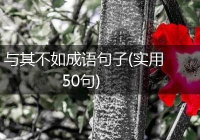 与其不如成语句子(实用50句)