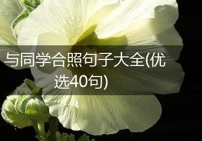 与同学合照句子大全(优选40句)
