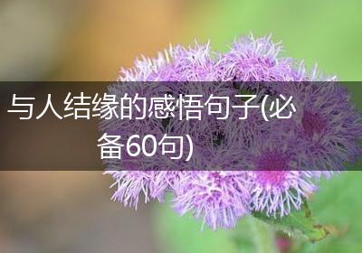 与人结缘的感悟句子(必备60句)