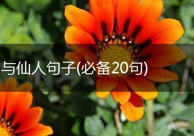 与仙人句子(必备20句)