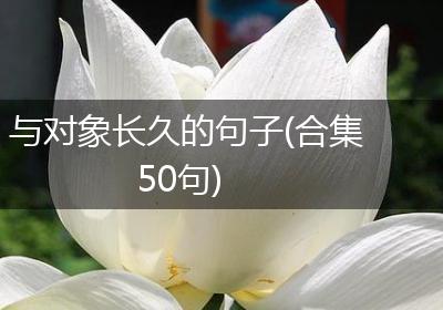 与对象长久的句子(合集50句)