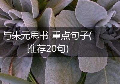 与朱元思书 重点句子(推荐20句)