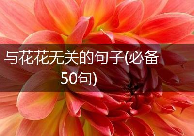 与花花无关的句子(必备50句)