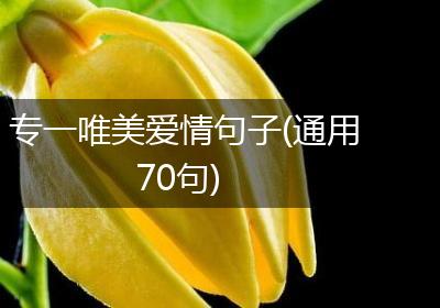 专一唯美爱情句子(通用70句)