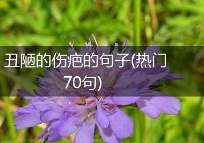 丑陋的伤疤的句子(热门70句)