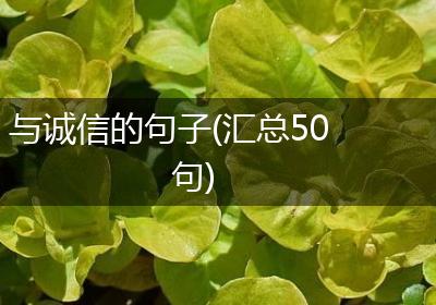 与诚信的句子(汇总50句)