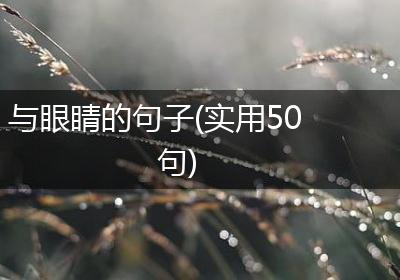 与眼睛的句子(实用50句)