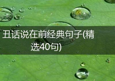 丑话说在前经典句子(精选40句)