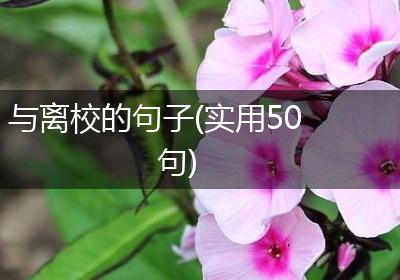 与离校的句子(实用50句)