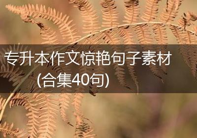 专升本作文惊艳句子素材(合集40句)