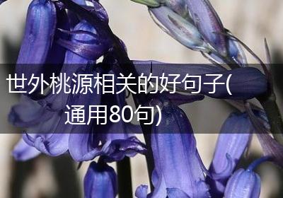 世外桃源相关的好句子(通用80句)