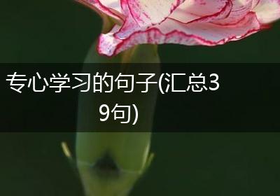 专心学习的句子(汇总39句)