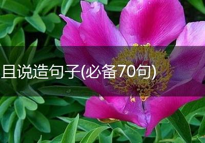 且说造句子(必备70句)