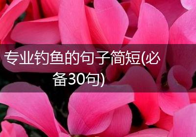专业钓鱼的句子简短(必备30句)