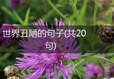 世界丑陋的句子(共20句)