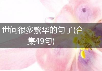 世间很多繁华的句子(合集49句)