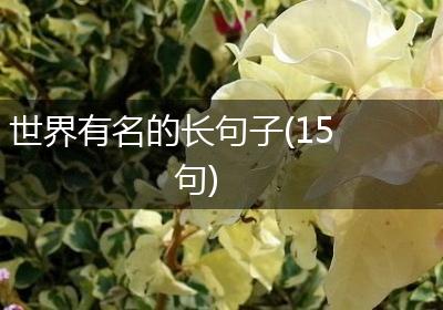 世界有名的长句子(15句)